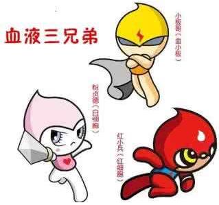 海文琪教授 特色疗法显奇效血小板减少并非无药可医