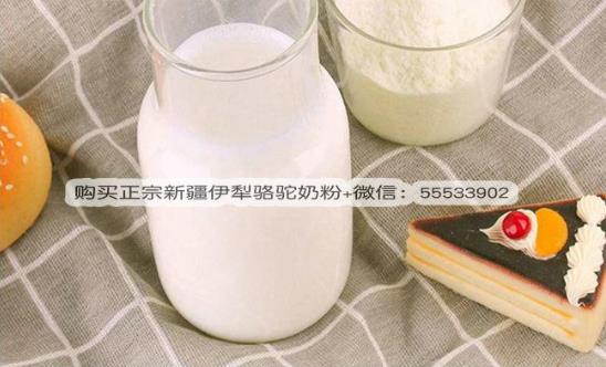 经常喝驼奶有什么好处呢？孕妇可以喝骆驼奶粉吗？