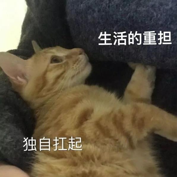 手上长了很多透明小水泡怎么办？过来人教你汗疱疹怎么治疗能除根