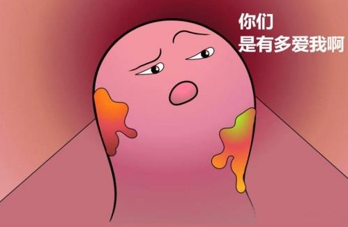 菊花长了个小肉球不痛不痒，这是怎么回事，不治会自己消失吗