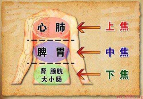 太乙堂马健：治疗甲状腺结节，宜从肝脾入手