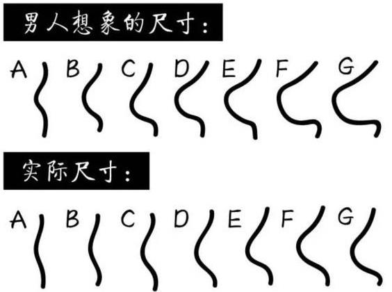 a罩杯和b罩杯相差多少厘米？A罩杯和B罩杯有什么区别？