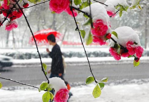 2021年2月份天气有倒春寒吗？哪个节气开始天气真正回暖