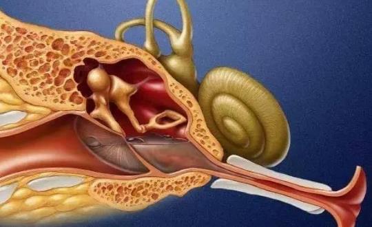 鼓膜穿孔有哪些症状？鼓膜穿孔需要做哪些检查？