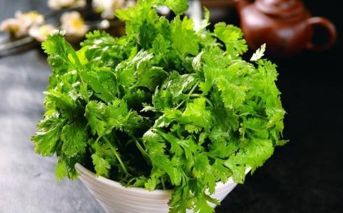 香菜有哪些营养价值？吃香菜的好处及药用价值
