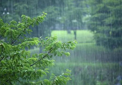 2021梅雨季节怎样防止家里发霉？2021年武汉梅雨季节是几月份