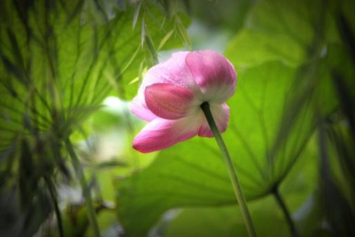 2021梅雨季节怎样防止家里发霉？2021年武汉梅雨季节是几月份