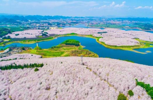 2021年贵州平坝樱花什么时候开放？贵州平坝樱花门票多少钱？