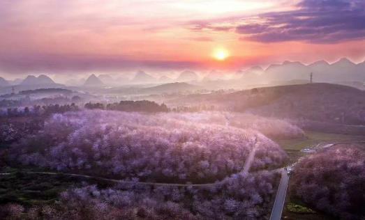 2021年贵州平坝樱花什么时候开放？贵州平坝樱花门票多少钱？