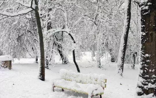 正月里打冬雷会有大事发生吗？郑州气象局解释正月打雷又下雪