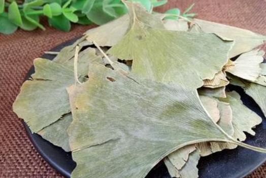 银杏叶茶有哪些成分？银杏叶茶有哪些功效？