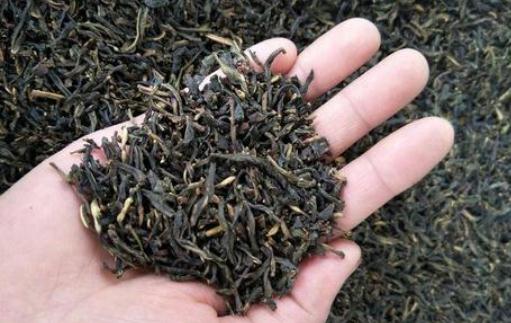 本山茶是什么？本山茶有哪些作用？