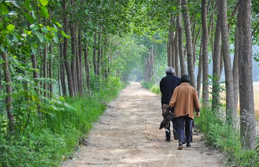 2021年村干部60岁还能参与竞选吗？村干部退休待遇新标准