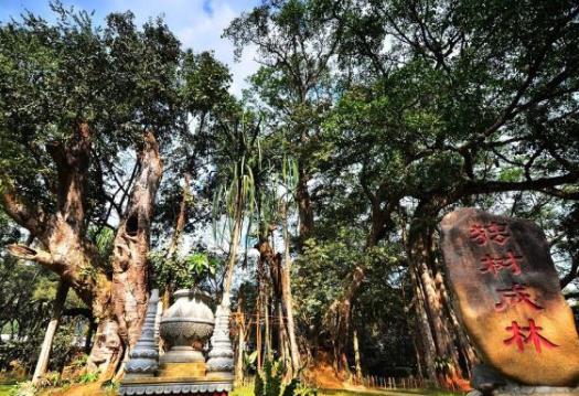 云南瑞丽高速解封了吗？2021瑞丽5月1日会解封吗？