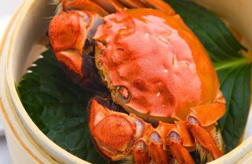 活螃蟹可以直接冷冻吗？螃蟹买回来要放水里吗？