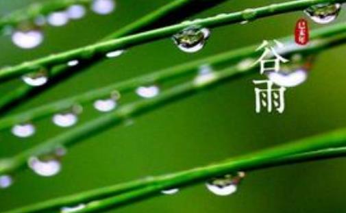 谷雨节气代表什么？谷雨节气含义是什么？