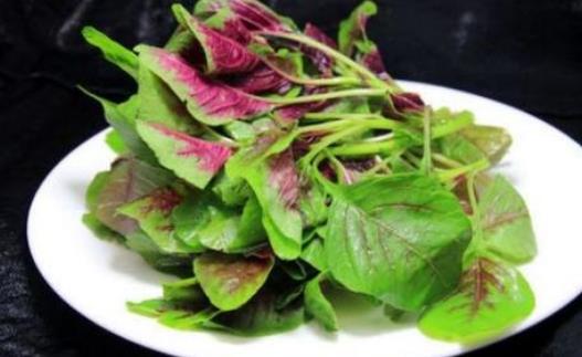 孕妇可以吃苋菜吗？吃苋菜有哪些好处？