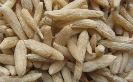 吃麦冬会上火吗？麦冬泡水怎么泡？