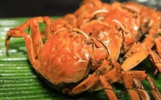 孕妇可以吃螃蟹吗？怎么挑选螃蟹？