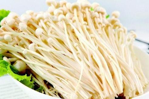 金针菇洗过后放时间久了有毒吗？金针菇不去根吃会不会中毒