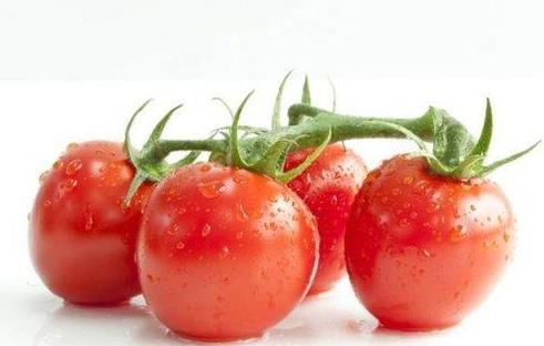 西红柿是凉性的还是热性的？西红柿可以和菠菜一起吃吗？