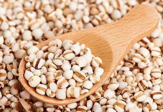 薏米需要炒吗？薏米可以打成豆浆喝吗？