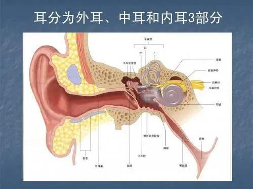 成都民生耳鼻喉医院提醒：除了小心中耳炎，更要警惕中耳癌！