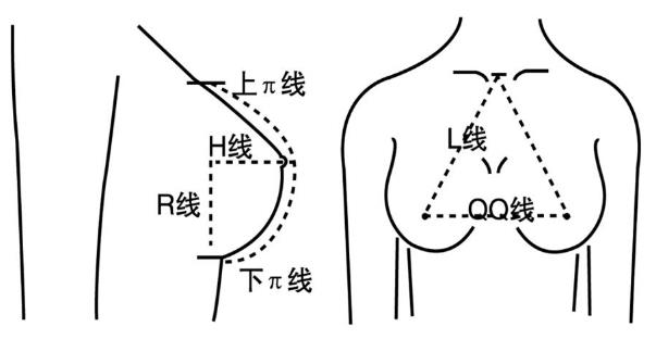 不同身高女性标准三围数值表 初中女生乳房有多大？