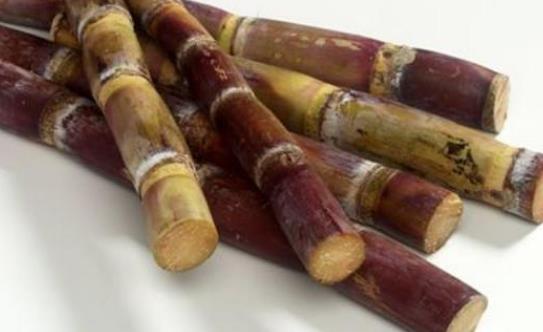 甘蔗有相克的食物吗？甘蔗是上火还是下火的？