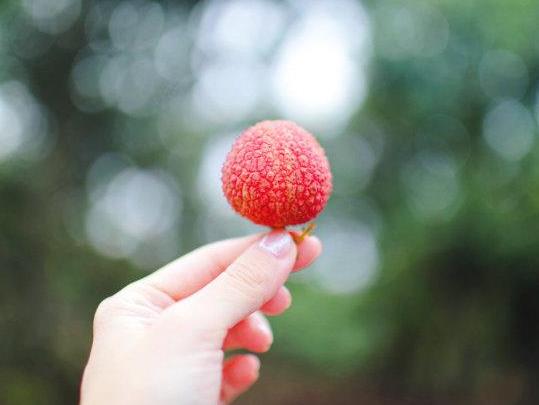 荔枝加可乐会怎么样？荔枝生吃好还是熟吃好？