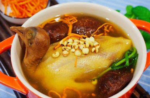 吃鸽子肉会上火吗？哪些人不宜吃鸽子肉？