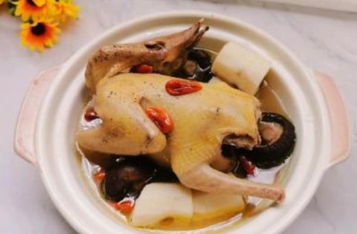 吃鸽子肉会上火吗？哪些人不宜吃鸽子肉？