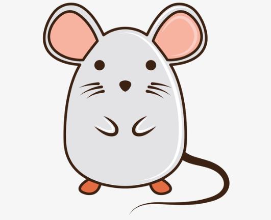 家中有老鼠有什么迹象？人睡着了老鼠会靠近吗？