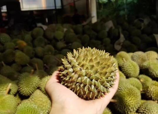 一个榴莲能出多少肉？榴莲只有三房肉可以退吗？