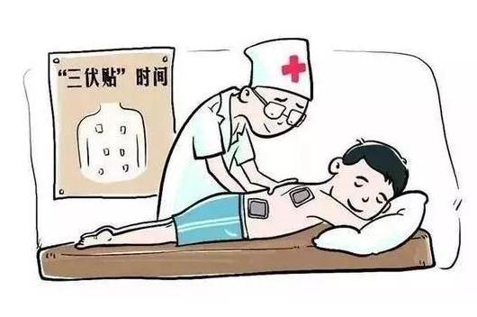 三伏贴是用蜂蜜还是黄酒调用？三伏贴用什么调和更好？