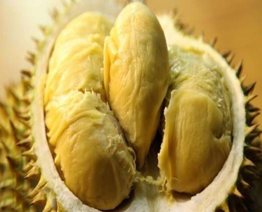 榴莲很香但是比较硬是熟还是没熟？榴莲很香没裂口是熟了吗？