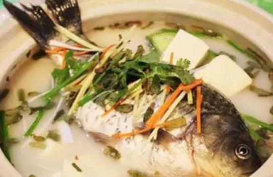 鲤鱼和豆腐可以一起吃吗？吃鲤鱼有哪些好处？