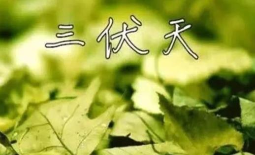 三伏天坐月子一定要穿长袖长裤吗 三伏天吃冰的真的很影响身体吗
