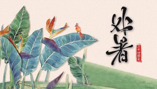 处暑是不是一年最热的时候 处暑吃什么水果
