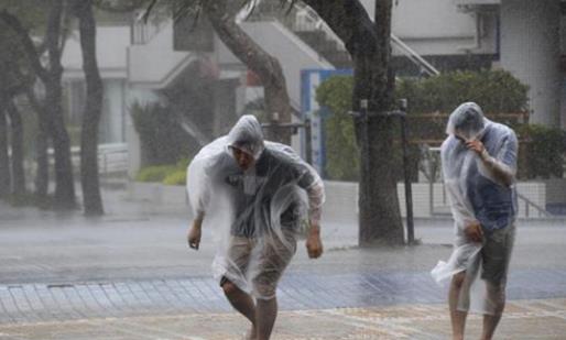 台风一年四季都有发生吗 每年台风什么时候开始