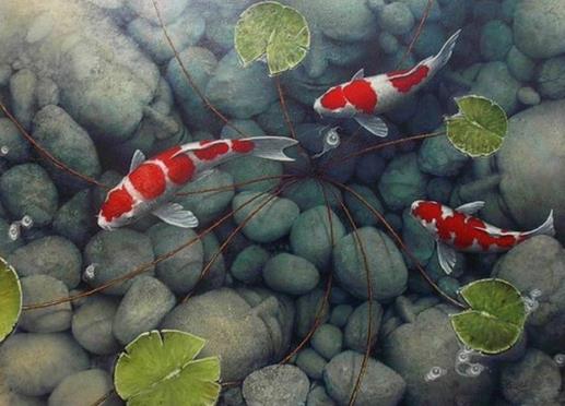 锦鲤加盐加多了可以吗？锦鲤在水里总张嘴是什么原因？