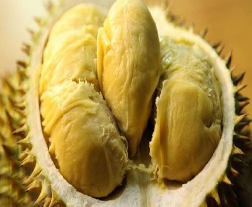 榴莲肉水水的还能吃吗？榴莲哪些地方不能生吃？