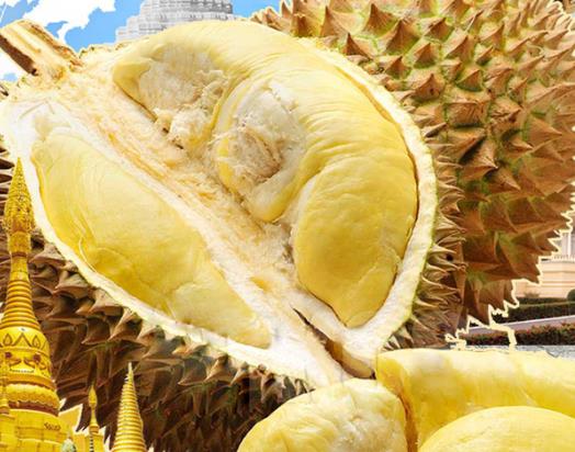 为啥人吃了榴莲会精力旺盛？一下吃了一整个榴莲会怎么样吗