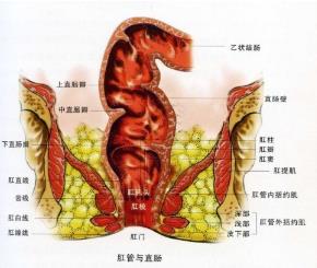 武汉马应龙肛肠医院到底好不好 看病经验分享