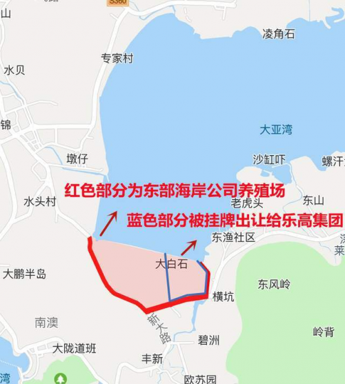 深圳大鹏 800亩土地出让给乐高集团，东部海岸公司受益有多少？