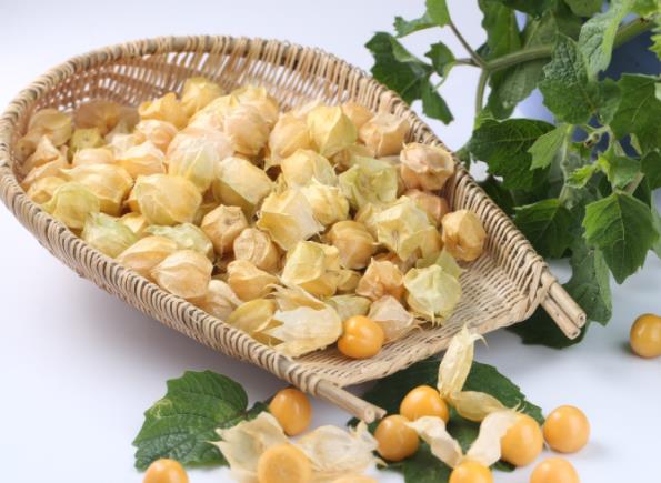 灯笼果正确的食用方法是什么？灯笼果的功效和作用是什么