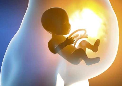 如何申请生育津贴？生育险到底能报销多少？