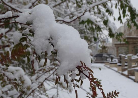 下雪后高速一般多久开始通车？在高速上下雪了怎么办