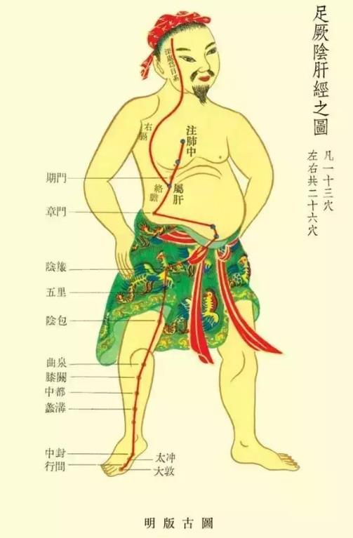 肝经的准确位置图 肝经不通的症状