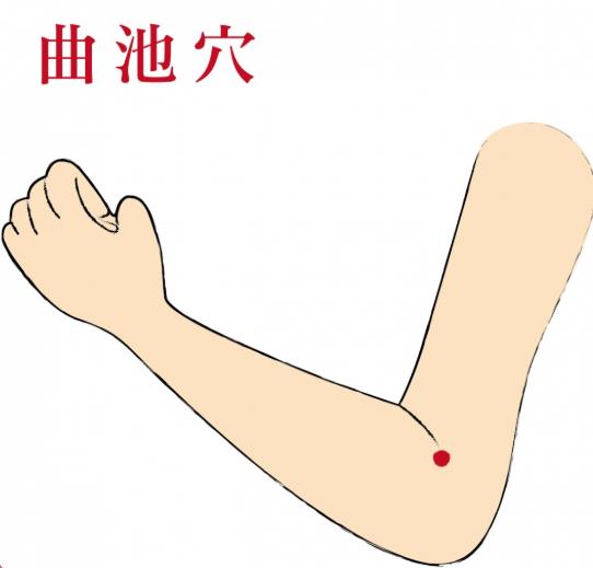 曲池的准确位置图，曲池的功效与作用